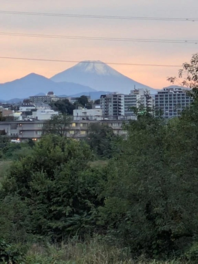 こんにちは、、、｜写メ日記｜やよい｜立川・八王子・三多摩 人妻デリヘル 熟女の風俗最終章 立川店