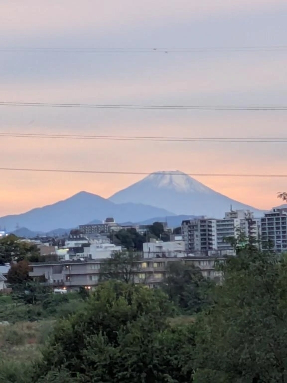 こんにちは、、｜写メ日記｜やよい｜立川・八王子・三多摩 人妻デリヘル 熟女の風俗最終章 立川店