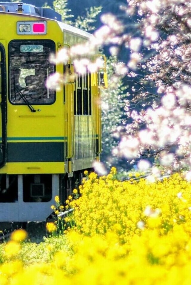 勘違いしてました(；´∀｀)｜写メ日記｜ひろみ｜立川・八王子・三多摩 人妻デリヘル 熟女の風俗最終章 立川店