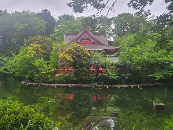 井の頭弁財天⛩️｜写メ日記｜ちなつ｜立川・八王子・三多摩 人妻デリヘル 熟女の風俗最終章 立川店