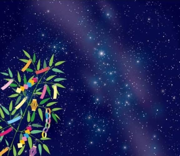 七夕🌌｜写メ日記｜りっか｜立川・八王子・三多摩 人妻デリヘル 熟女の風俗最終章 立川店