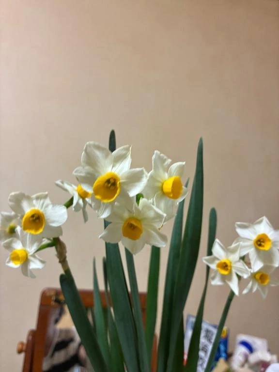 感謝｜写メ日記｜よしこ｜立川・八王子・三多摩 人妻デリヘル 熟女の風俗最終章 立川店