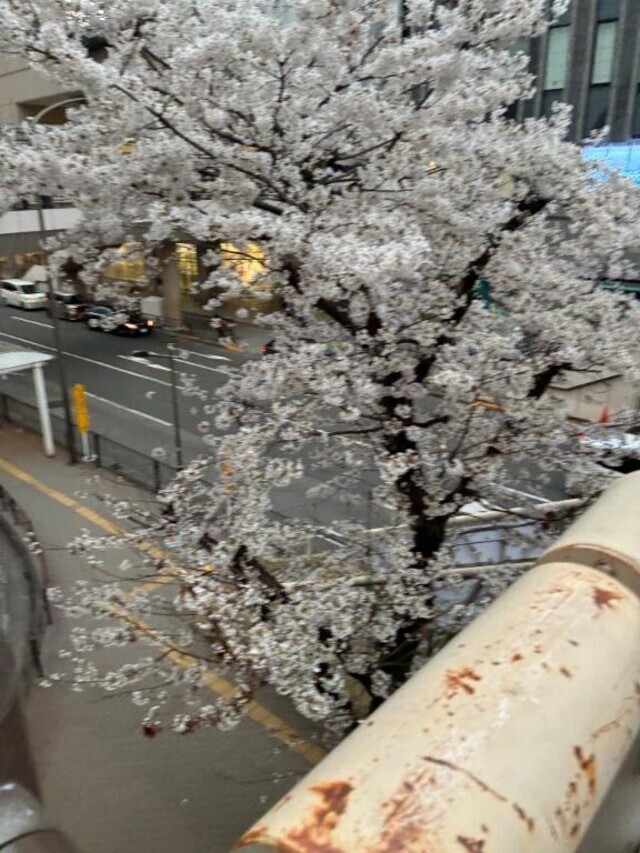 出勤｜写メ日記｜よしこ｜立川・八王子・三多摩 人妻デリヘル 熟女の風俗最終章 立川店