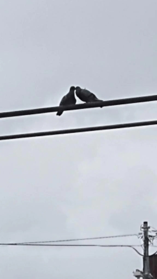 おはようございます🤗｜写メ日記｜けいこ｜立川・八王子・三多摩 人妻デリヘル 熟女の風俗最終章 立川店