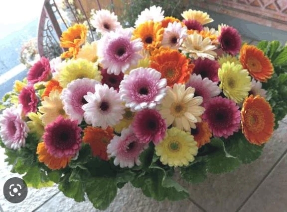 出勤しました😊｜写メ日記｜けいこ｜立川・八王子・三多摩 人妻デリヘル 熟女の風俗最終章 立川店