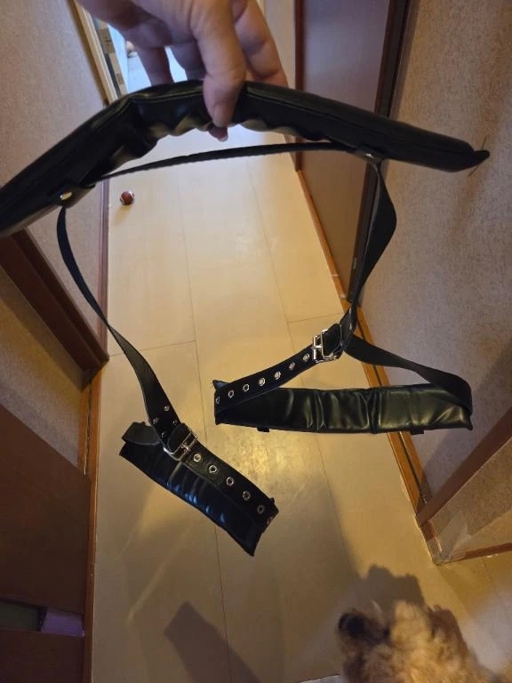 すごいの見つけた！1