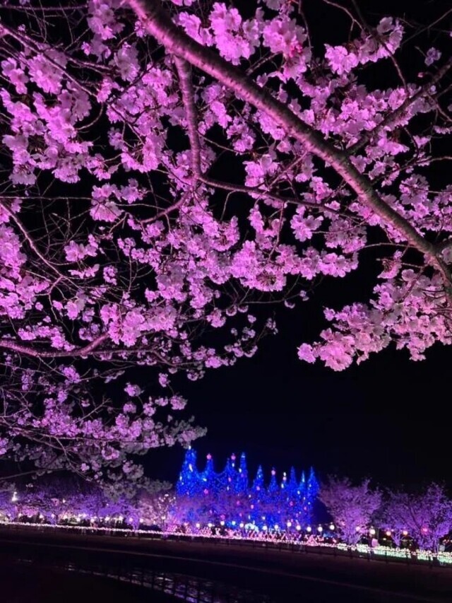 本日出勤します。｜写メ日記｜かづき｜立川・八王子・三多摩 人妻デリヘル 熟女の風俗最終章 立川店