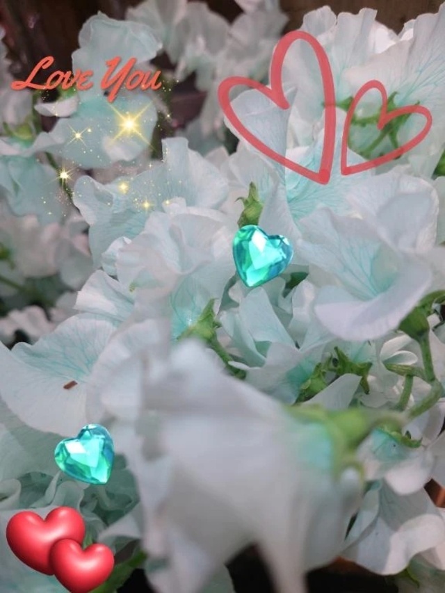 ありがとうございました♡