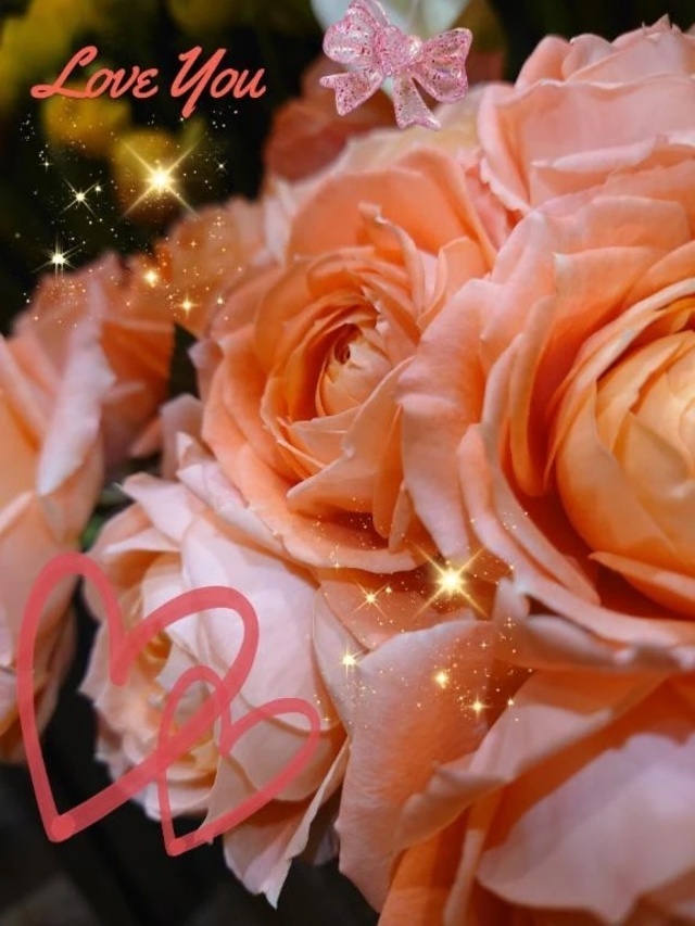 Ｋさま御礼です♡｜写メ日記｜せりな｜立川・八王子・三多摩 人妻デリヘル 熟女の風俗最終章 立川店