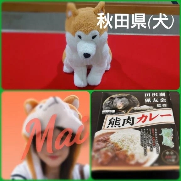 １日だけ帰省中｜写メ日記｜まい｜立川・八王子・三多摩 人妻デリヘル 熟女の風俗最終章 立川店