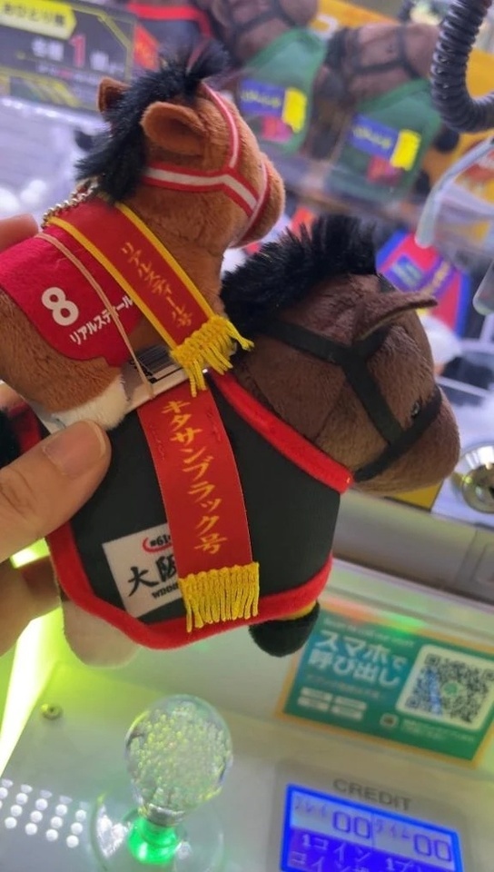 次回出勤💗｜写メ日記｜らむ｜立川・八王子・三多摩 人妻デリヘル 熟女の風俗最終章 立川店