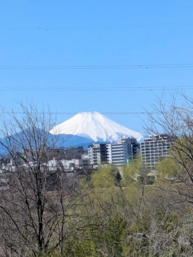 おはよう、、、｜写メ日記｜やよい｜立川・八王子・三多摩 人妻デリヘル 熟女の風俗最終章 立川店