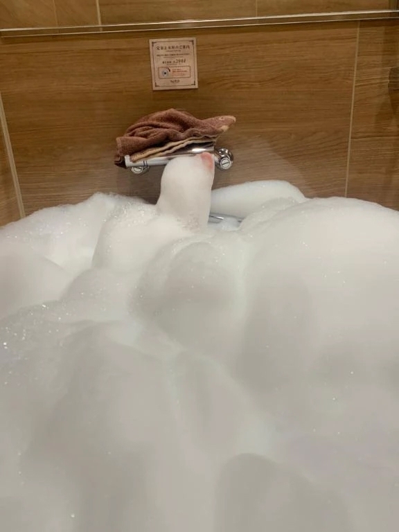 ぬくぬく｜写メ日記｜りみ｜立川・八王子・三多摩 人妻デリヘル 熟女の風俗最終章 立川店