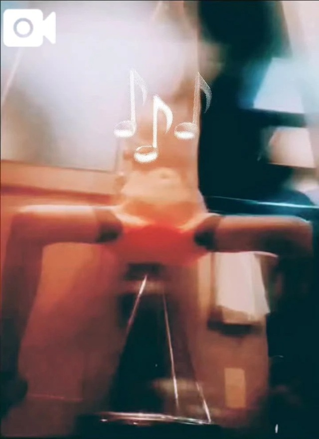 危険な嬢事🤤