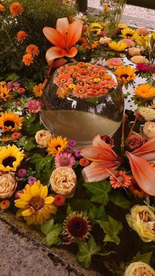 本日出勤します☔｜写メ日記｜かよこ｜立川・八王子・三多摩 人妻デリヘル 熟女の風俗最終章 立川店