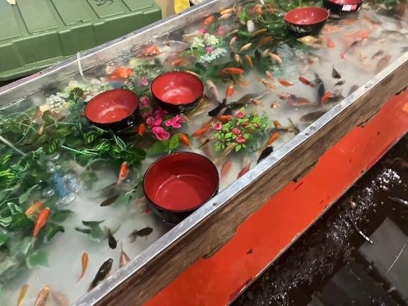 おはようございます！｜写メ日記｜つきか｜立川・八王子・三多摩 人妻デリヘル 熟女の風俗最終章 立川店