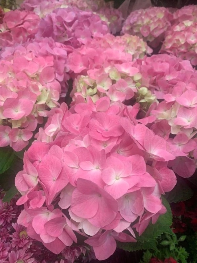 F様へ｜写メ日記｜さく｜立川・八王子・三多摩 人妻デリヘル 熟女の風俗最終章 立川店