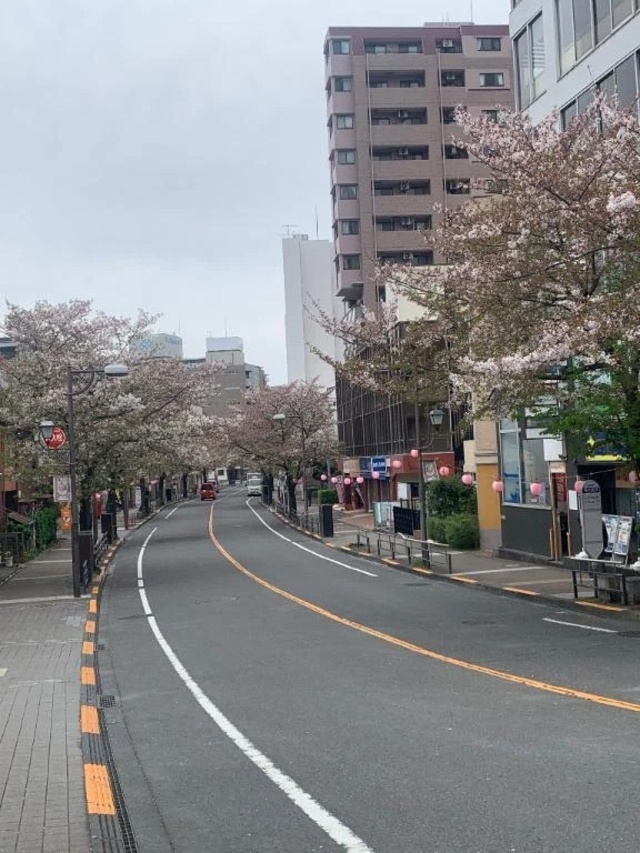 ホテル桜ヶ丘でお会いしたK様へ｜写メ日記｜さく｜立川・八王子・三多摩 人妻デリヘル 熟女の風俗最終章 立川店