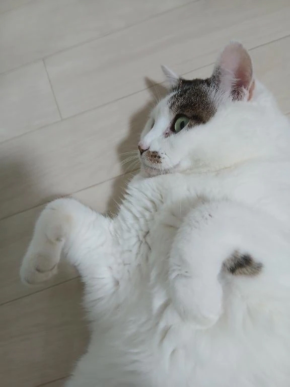 息子の匂い