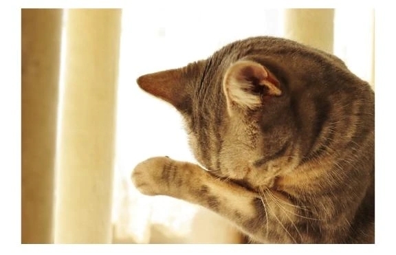 消えちゃいました🙇‍♀️💦｜写メ日記｜麻木 奈緒｜渋谷 高級デリヘル 逢Tokyo