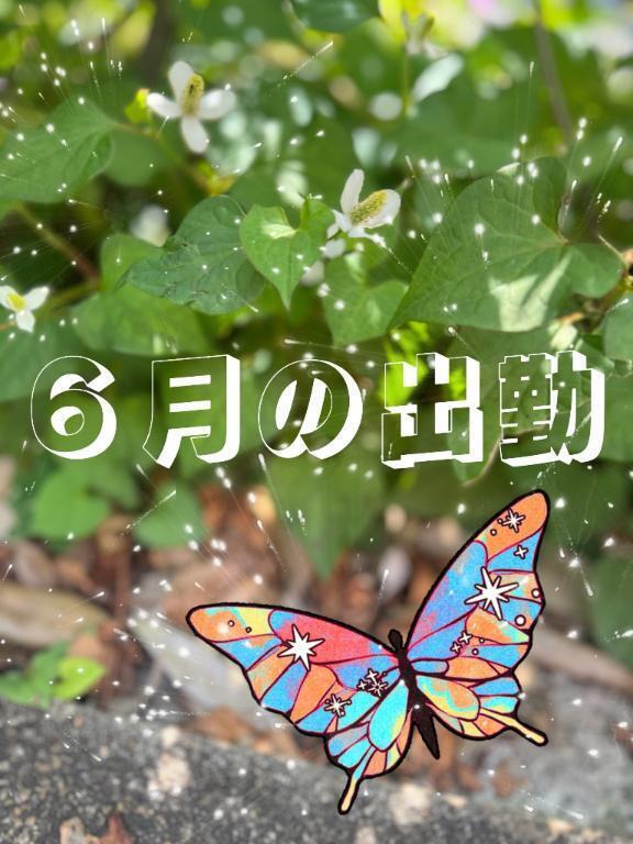 月初のお知らせ📢｜写メ日記｜三沢 静香｜渋谷 高級デリヘル 逢Tokyo