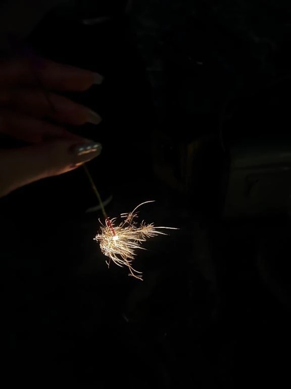 レア🎆｜写メ日記｜沢尻　波留｜渋谷 高級デリヘル 逢Tokyo