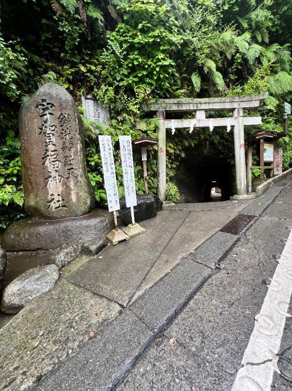 迷子の末に、大吉もらいました♡