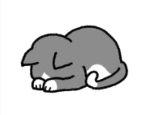 申し訳ございません🙇‍♀️