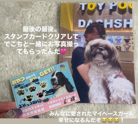 【🧸ラストだよっっ！】｜写メ日記｜マオ｜池袋 一般デリヘル 池袋デリヘル倶楽部