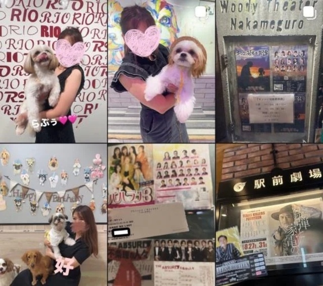 お休み戴くかもしれません