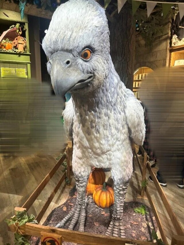 【🐶仲良しN様😭😭😭】｜写メ日記｜マオ｜池袋 一般デリヘル 池袋デリヘル倶楽部