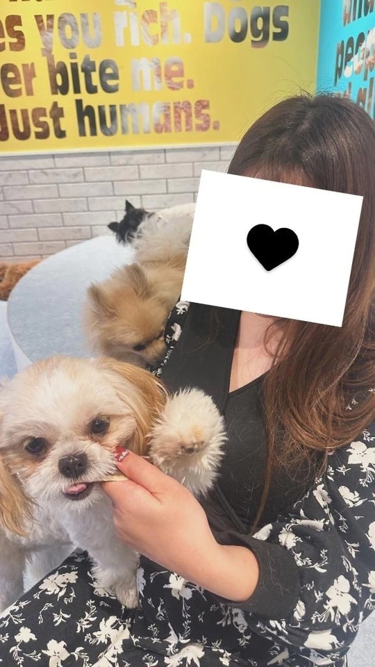 【🐶遅くなってしまいました😭】｜写メ日記｜マオ｜池袋 一般デリヘル 池袋デリヘル倶楽部