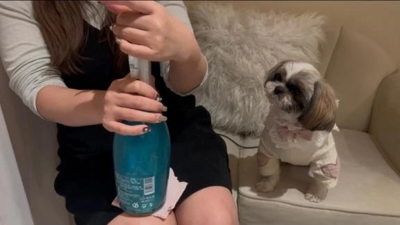 【🐶HappyValentine🍫🥂  ̖́-】｜写メ日記｜マオ｜池袋 一般デリヘル 池袋デリヘル倶楽部