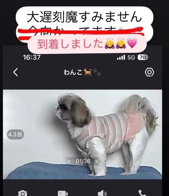 【🐶大変遅くなりました😭🙌】｜写メ日記｜マオ｜池袋 一般デリヘル 池袋デリヘル倶楽部