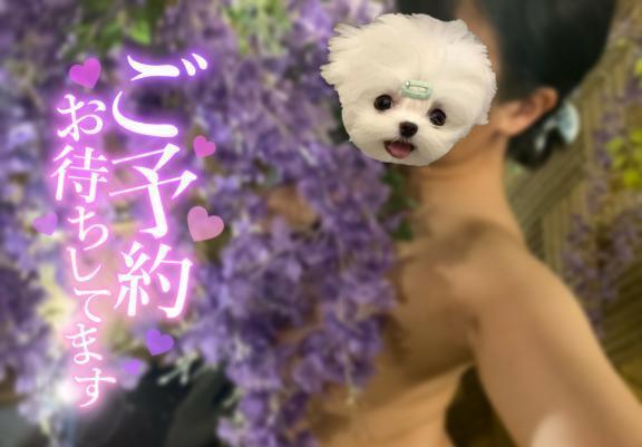 満を辞して｜写メ日記｜あかね｜池袋 一般デリヘル 池袋デリヘル倶楽部