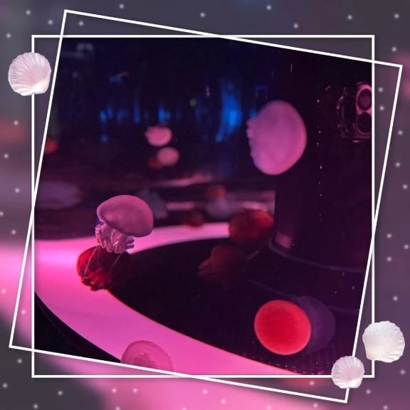 🐶🐕｜写メ日記｜あいの｜池袋 一般デリヘル 池袋デリヘル倶楽部