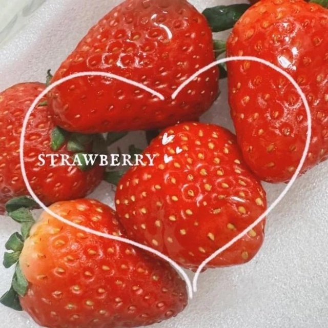 大好き♥️｜写メ日記｜あいの｜池袋 一般デリヘル 池袋デリヘル倶楽部