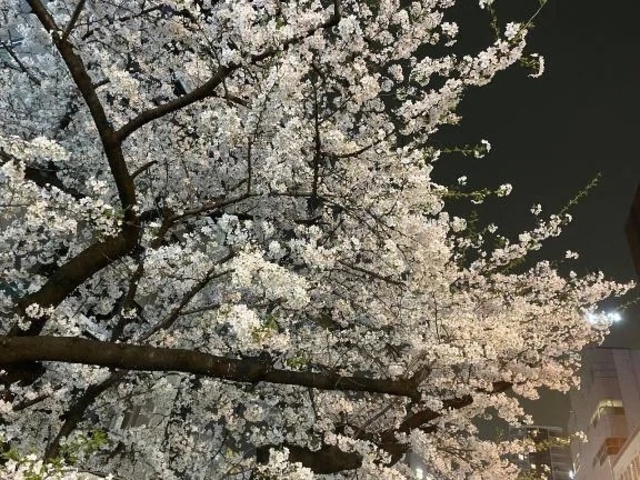 ごめんなさい、本日お休みします。｜写メ日記｜みゆ｜池袋 一般デリヘル 池袋デリヘル倶楽部