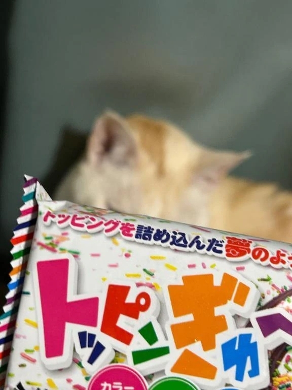 おすすめ💓｜写メ日記｜さくら｜池袋 一般デリヘル 池袋デリヘル倶楽部