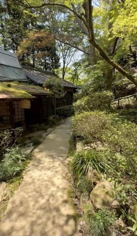 🌳🌳🌳🌳🌳🌳｜写メ日記｜あや｜池袋 一般デリヘル 池袋デリヘル倶楽部