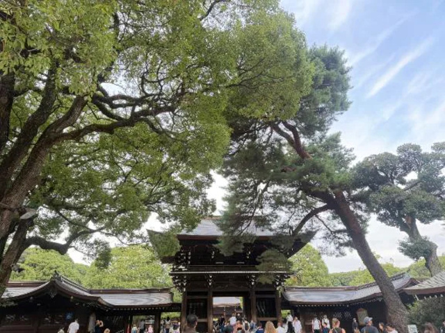 おひとり様｜写メ日記｜おと｜池袋 一般デリヘル 池袋デリヘル倶楽部