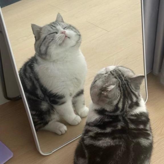 えまです！