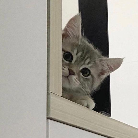 えまです！