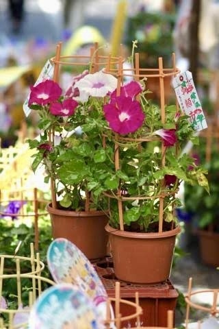 りょうです✨｜写メ日記｜りょう｜鶯谷 人妻デリヘル 鶯谷倶楽部 愛