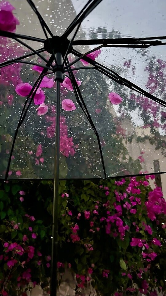 りょうです🌧️｜写メ日記｜りょう｜鶯谷 人妻デリヘル 鶯谷倶楽部 愛