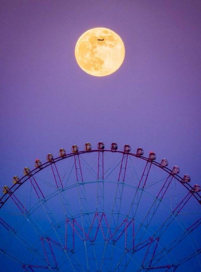おはようございます😃｜写メ日記｜りょう｜鶯谷 人妻デリヘル 鶯谷倶楽部 愛