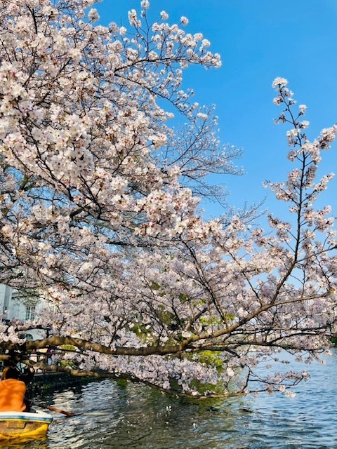 月曜日のおはようございます😃