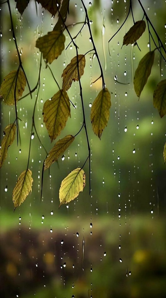 出勤します🚗｜写メ日記｜りょう｜鶯谷 人妻デリヘル 鶯谷倶楽部 愛