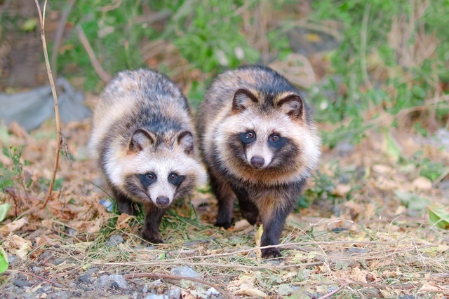 感謝を込めて｜写メ日記｜まお｜鶯谷 人妻デリヘル 鶯谷倶楽部 愛