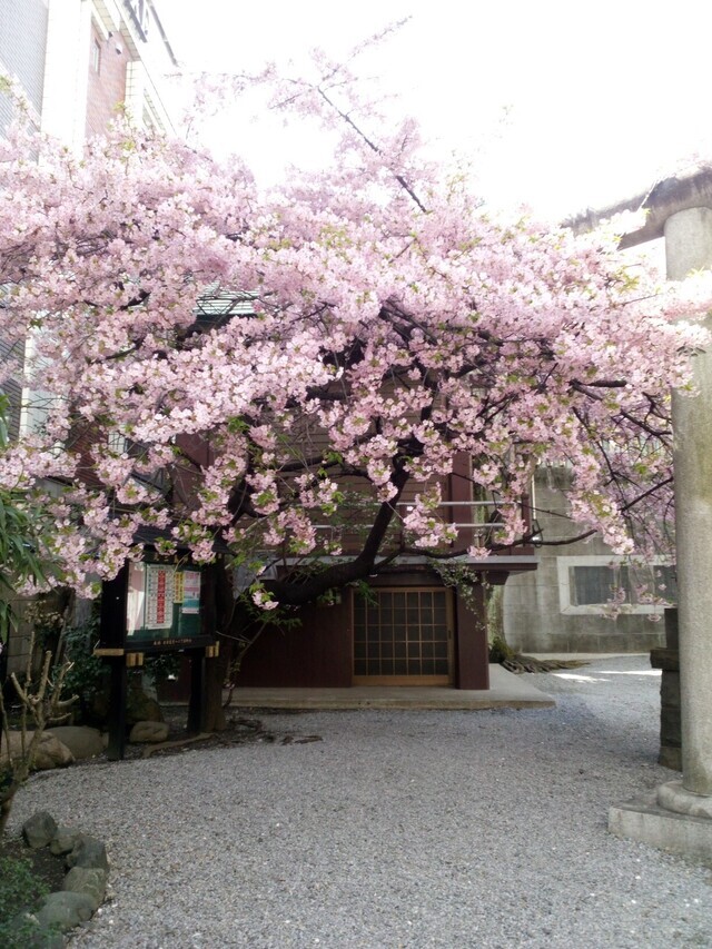 ☔止みましたね😃